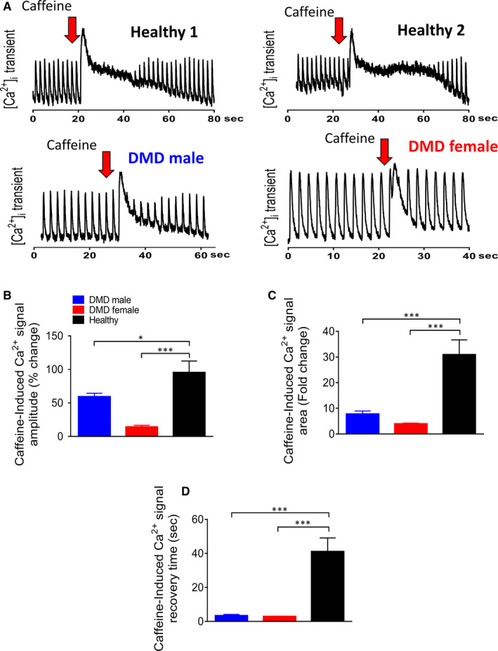 FIGURE 4