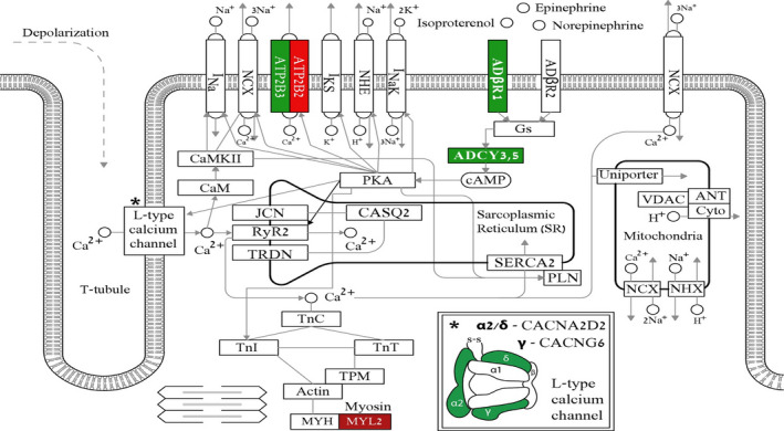 FIGURE 7