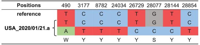 Figure 6.