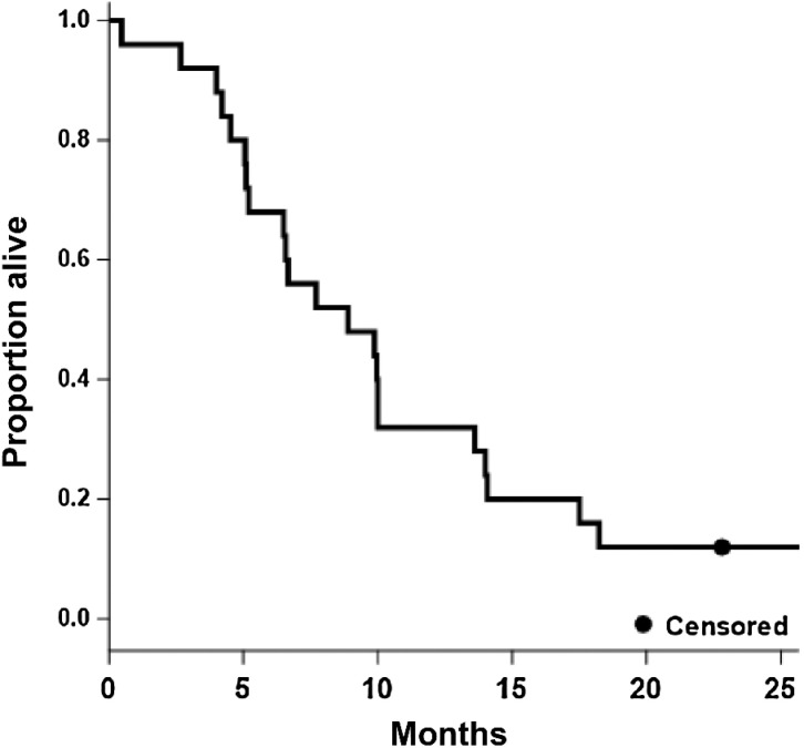 Figure 2. Kaplan–Meier estimate of OS (all patients, N = 25; median = 8.9; 95% CI, 5.2–13.6).