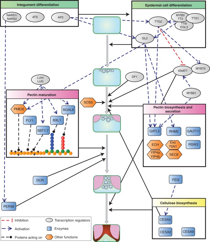 Fig. 3.