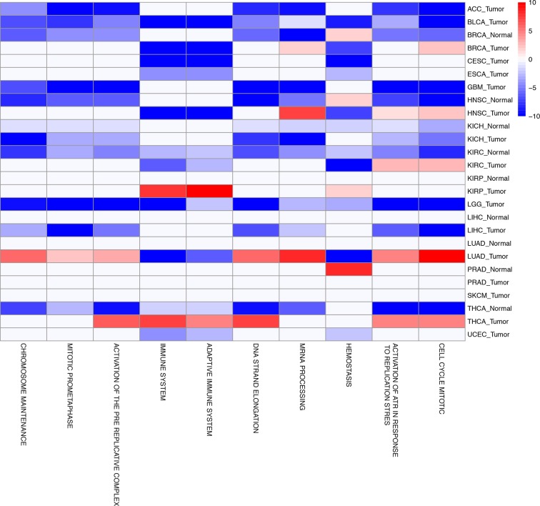 Figure 5—figure supplement 1.