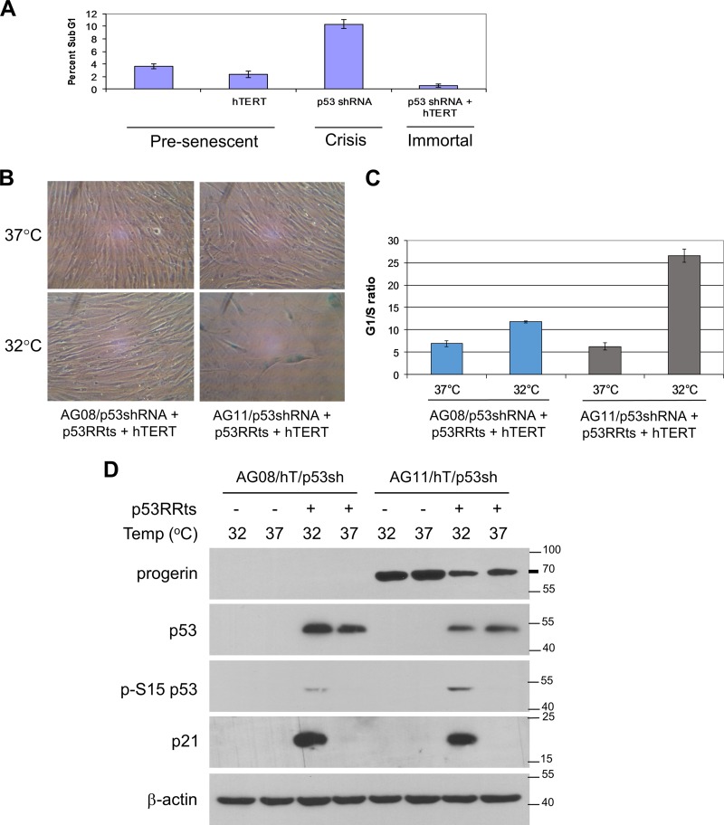 FIG 2