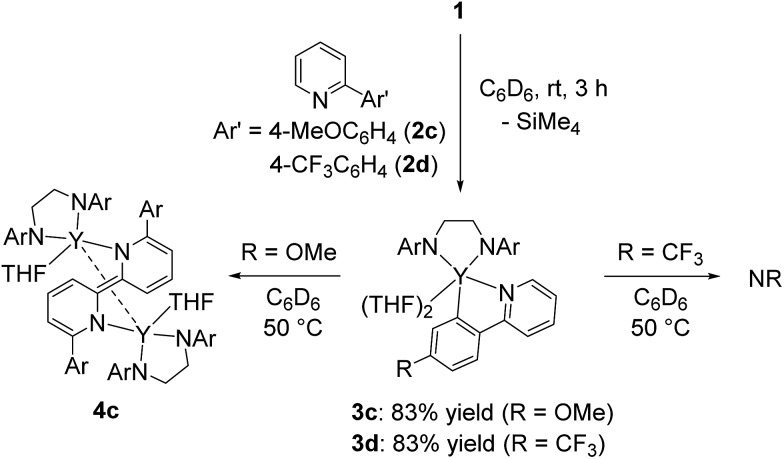 Scheme 4