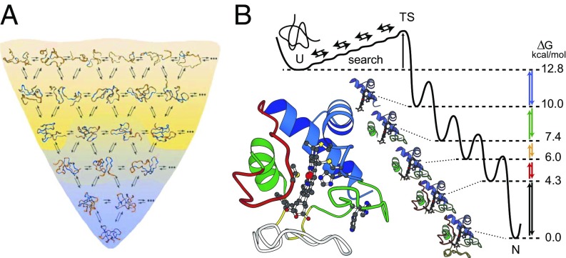 Fig. 1.