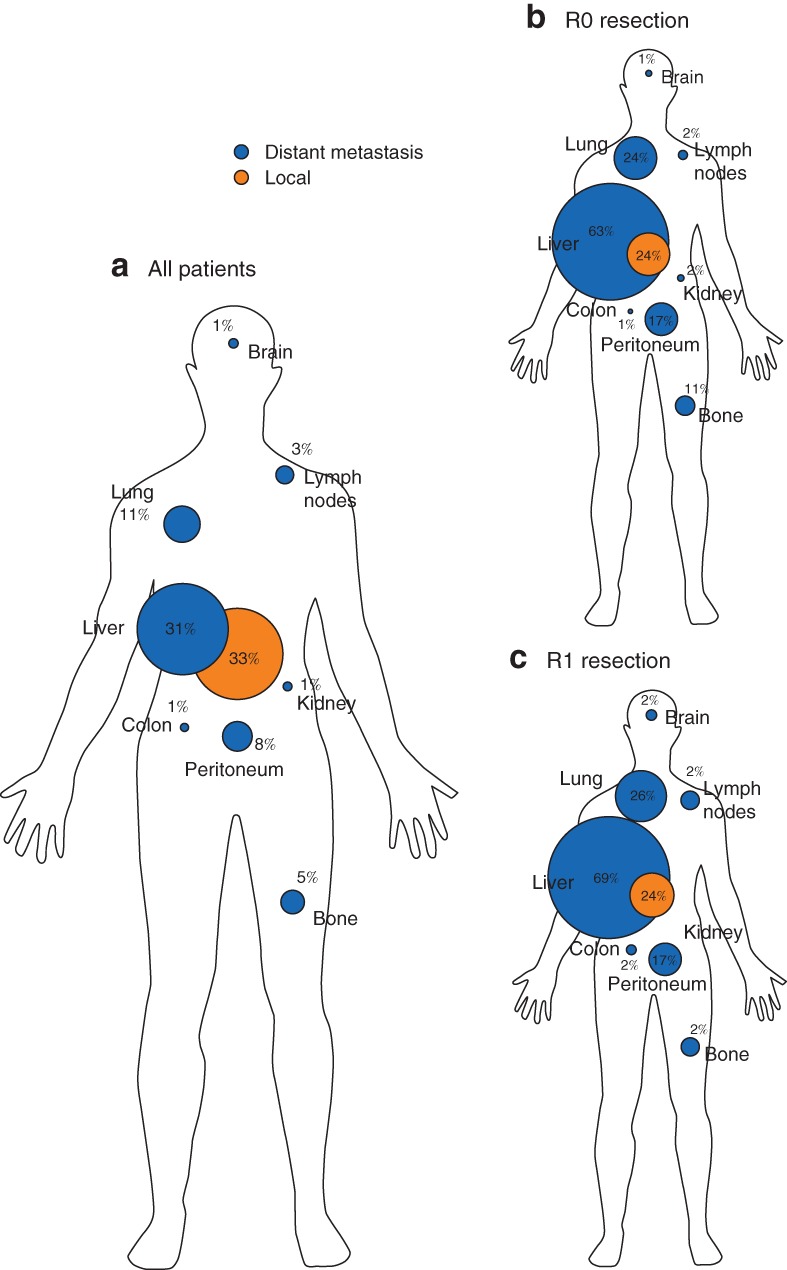 BJS-11115-FIG-0002-c