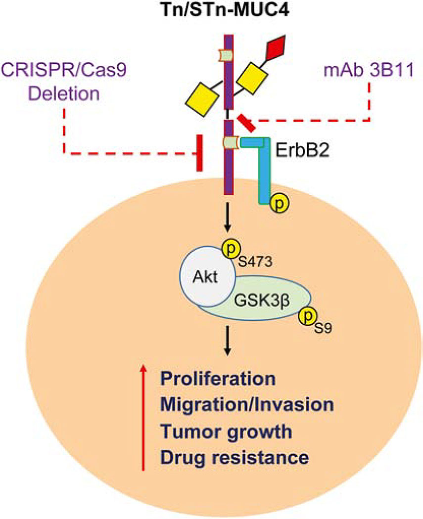 Figure 7.