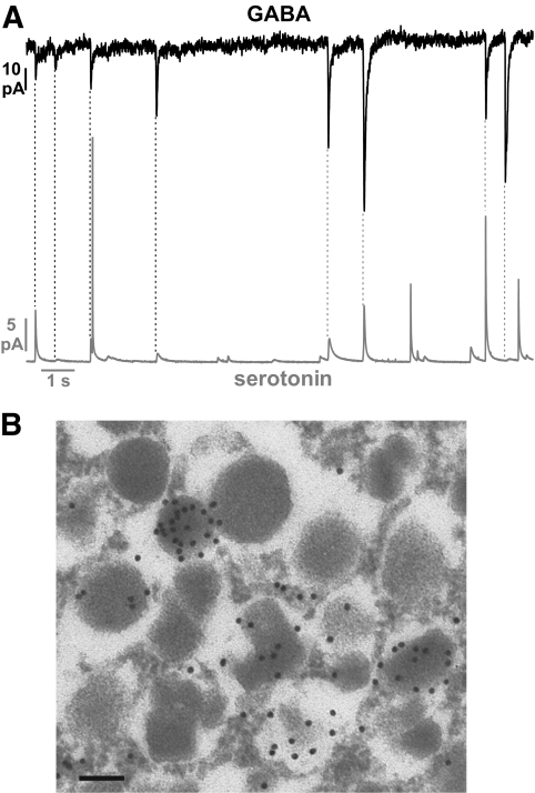 FIG. 5.