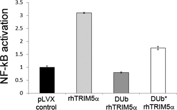 FIG 6