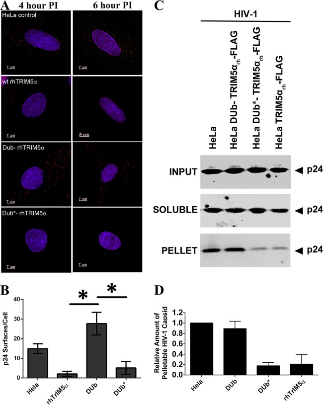 FIG 4