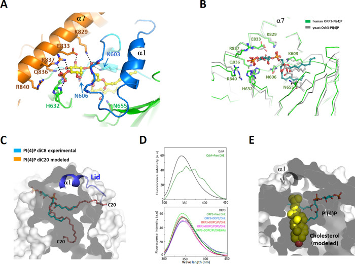 Fig 3