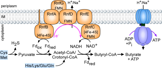 Fig 6