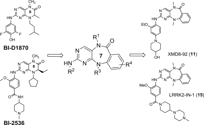 Fig. 2