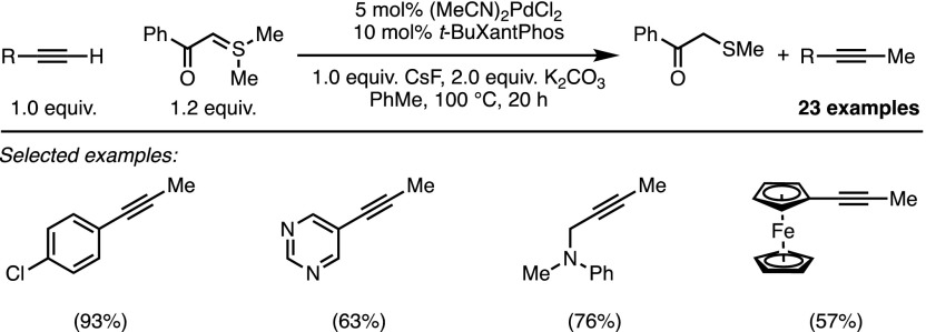 Scheme 19