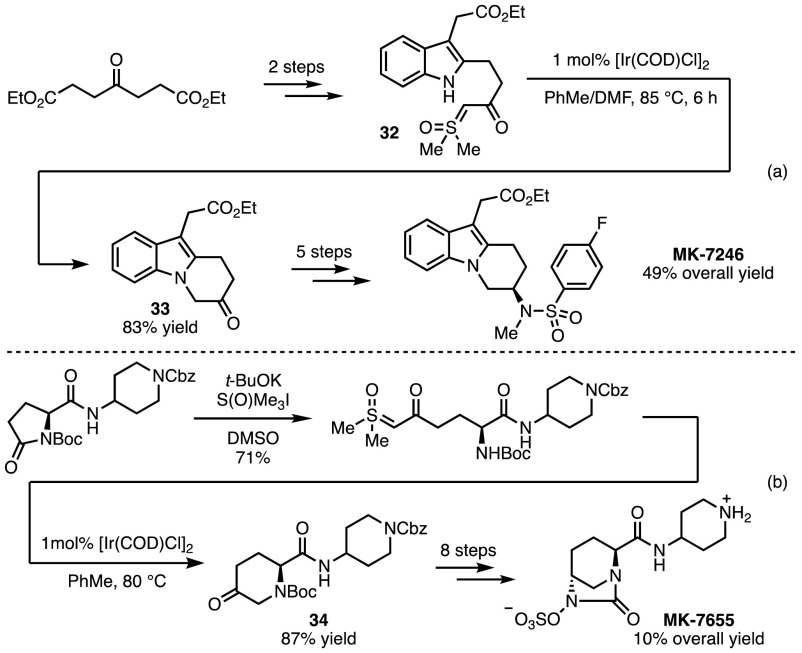 Scheme 26