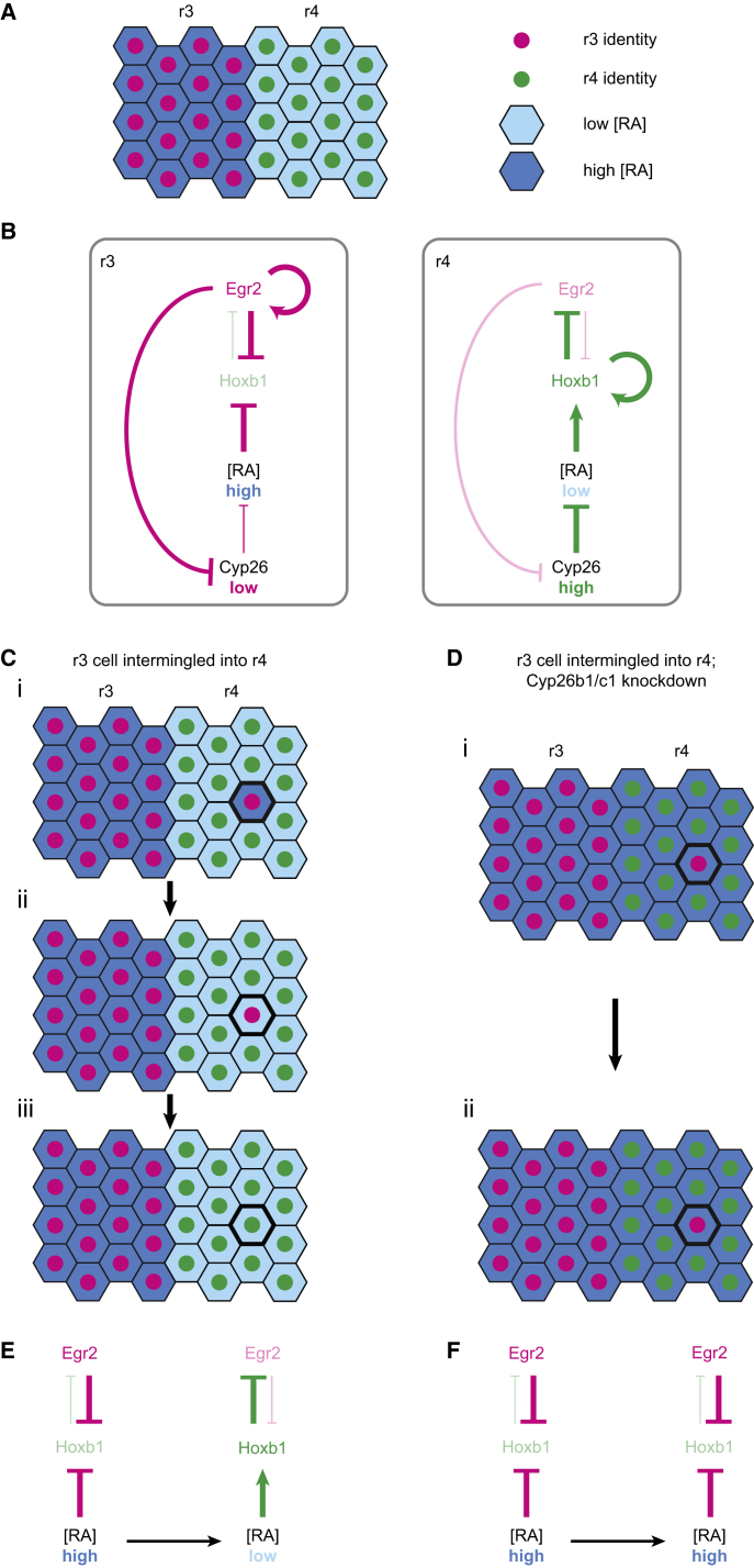 Figure 7