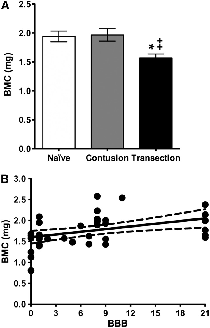 FIG. 7.