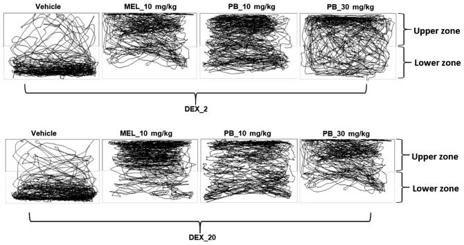 Figure 5.