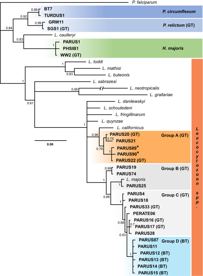 FIGURE 1