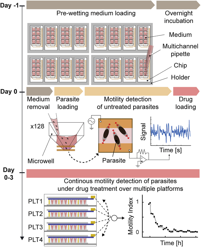 Figure 2