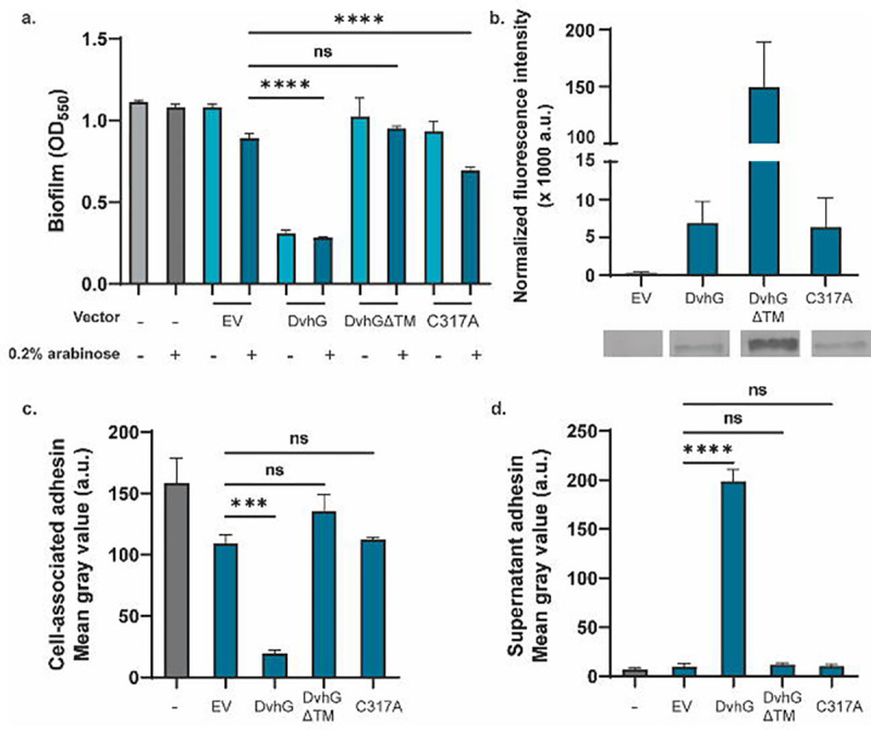 Figure 2: