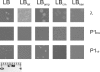 FIG. 2.