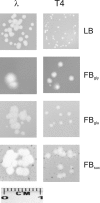 FIG. 1.