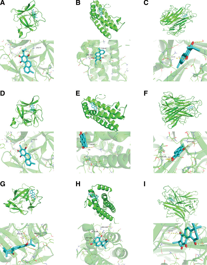 Figure 5.