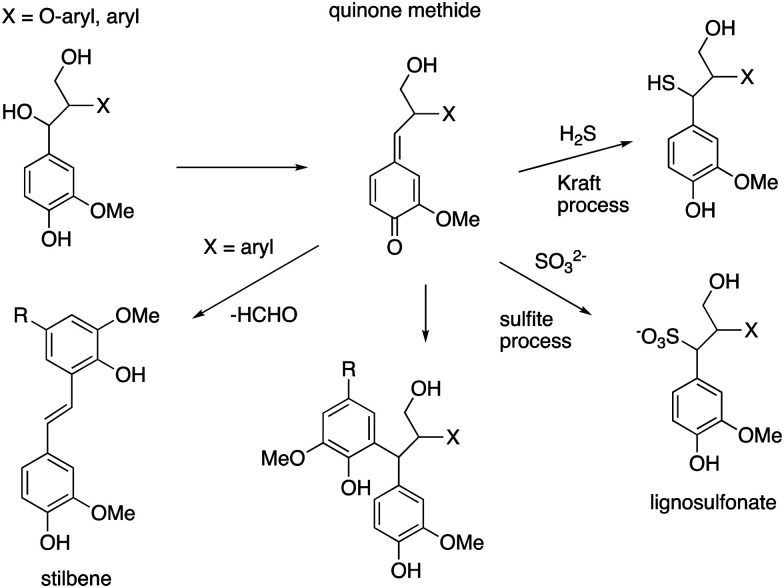 Fig. 10