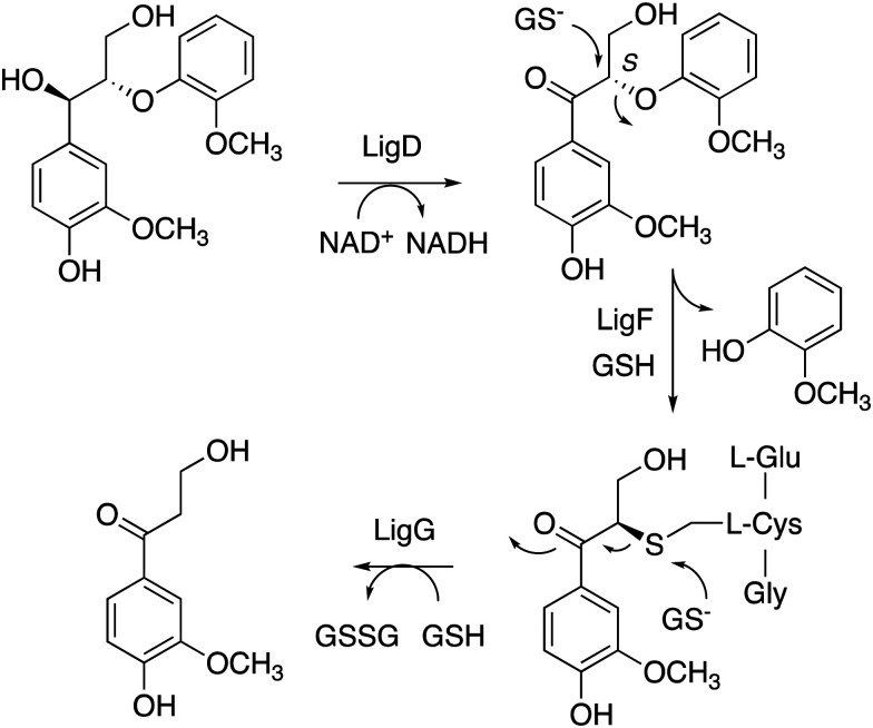 Fig. 5