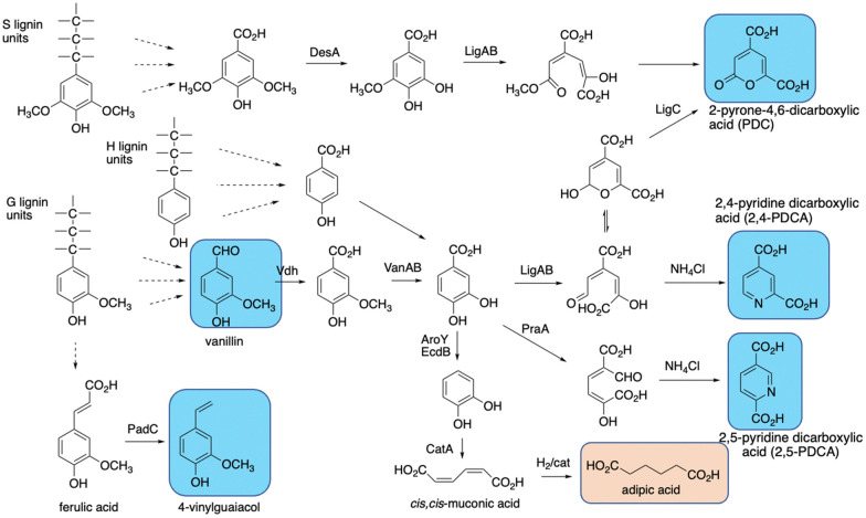 Fig. 13