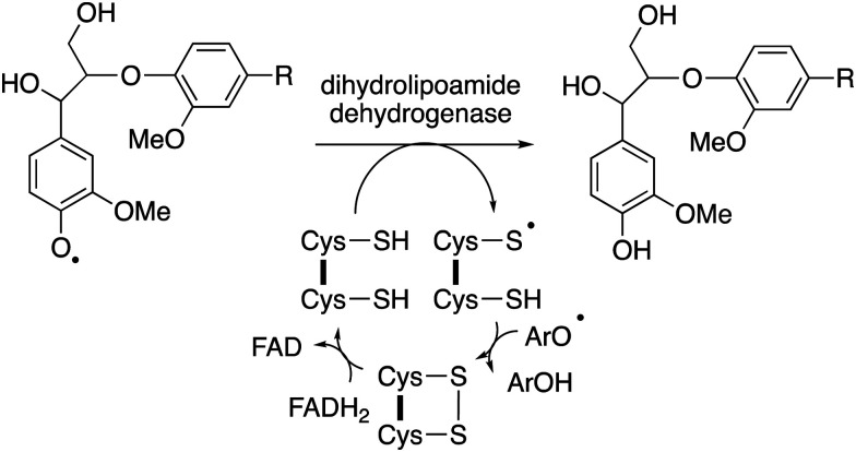 Fig. 11