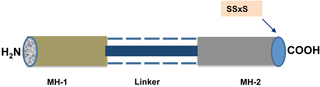 Fig. (4)