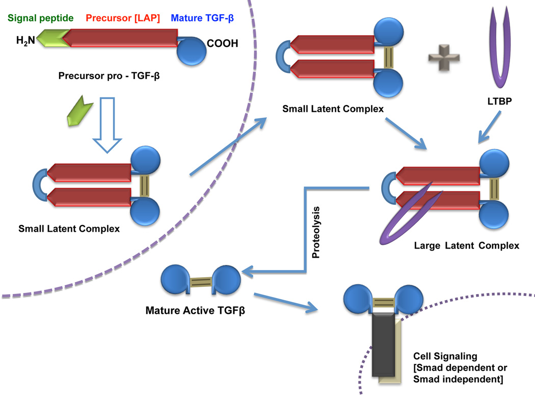 Fig. (2)