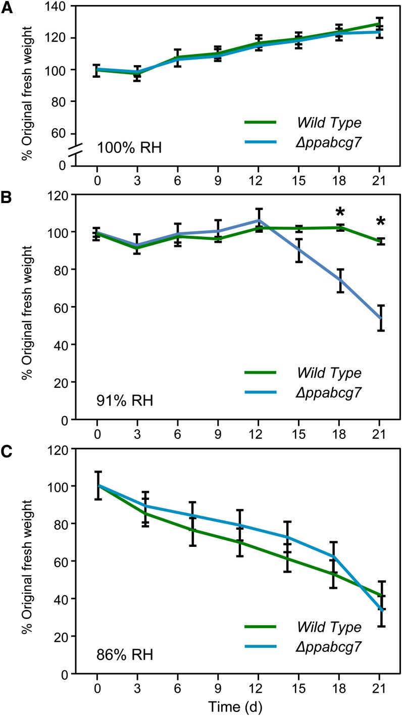 Figure 10.