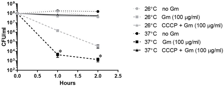 FIGURE 6