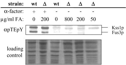 Figure 10.