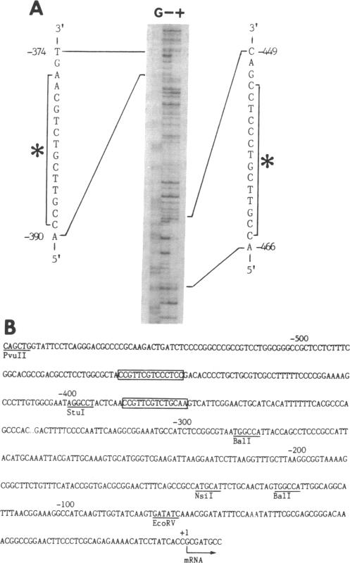 graphic file with name pnas01055-0180-b.jpg