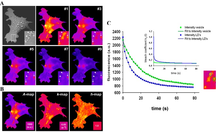 Figure 7