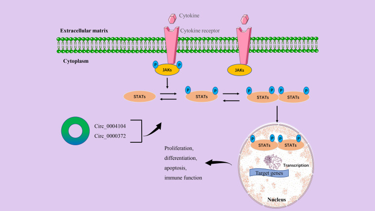 Figure 5