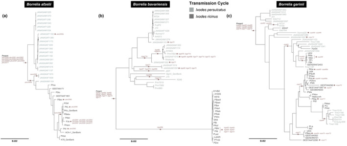 FIGURE 2