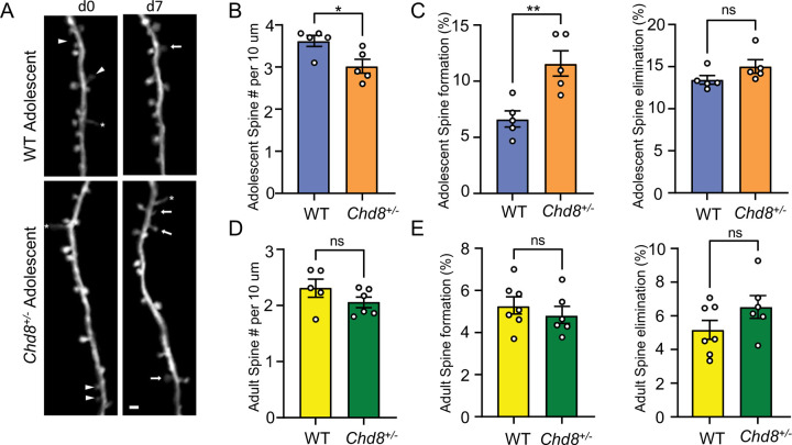 Figure 5: