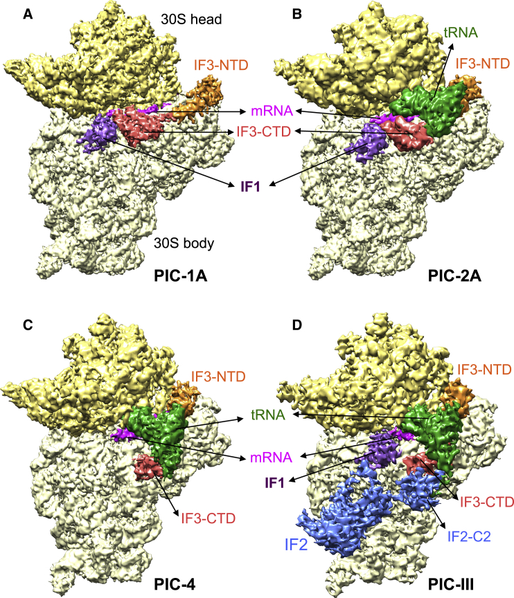 Figure 1