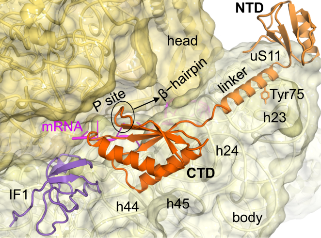 Figure 3