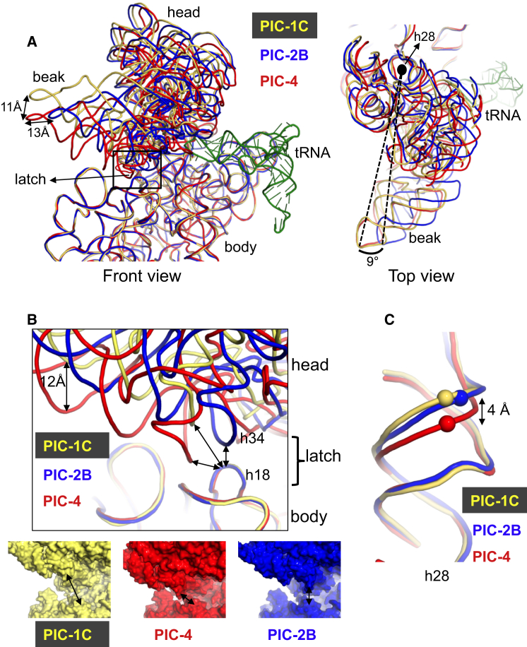 Figure 2