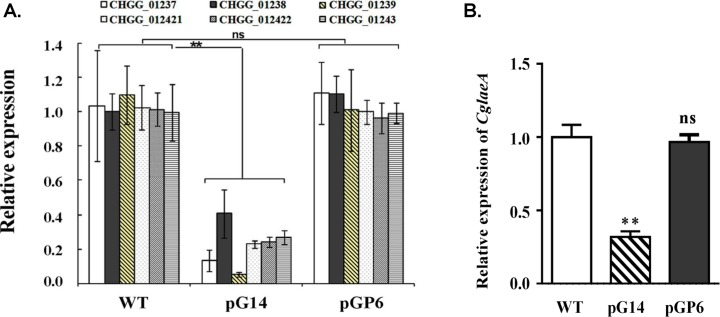 Fig 6