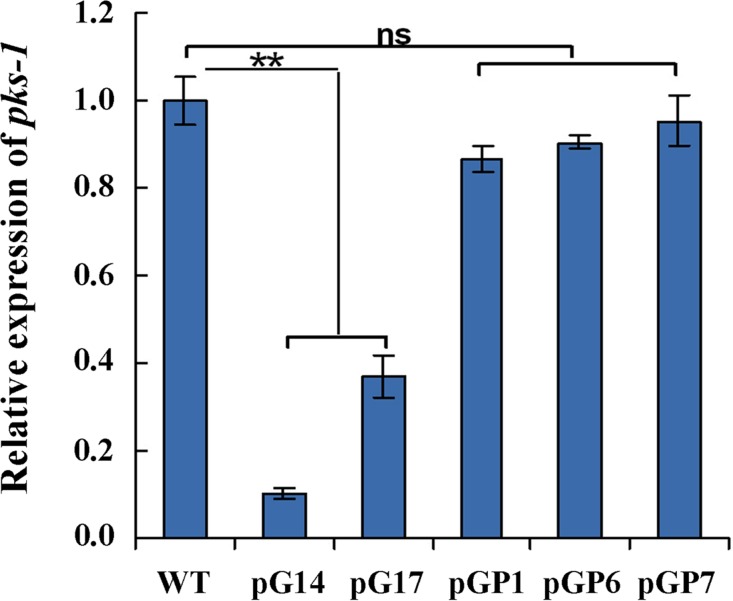 Fig 4