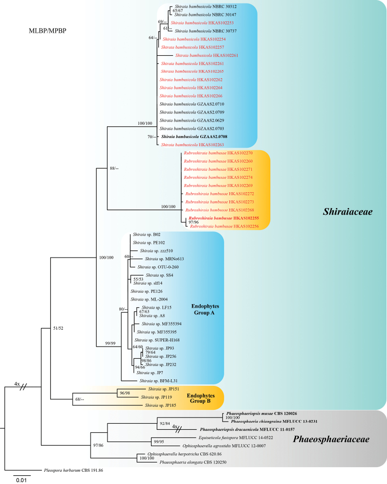 Figure 3.