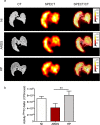 Fig 5