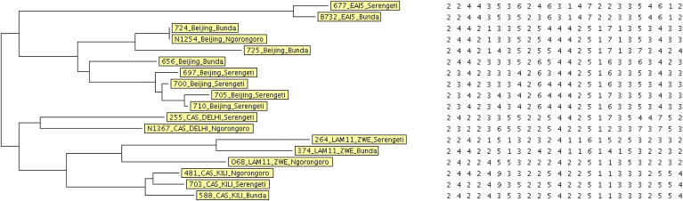 Figure 2